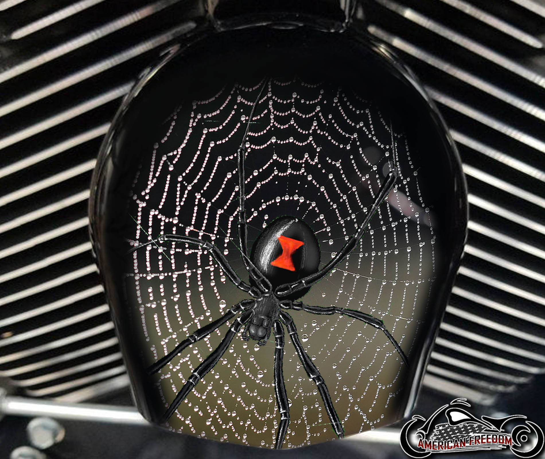 Custom Horn Cover - Spider On Web w/ Dew